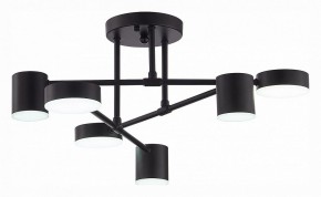 Потолочная люстра EVOLUCE Nobel SLE201042-06 в Лесном - lesnoy.mebel24.online | фото 5