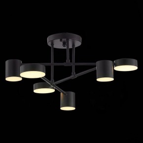Потолочная люстра EVOLUCE Nobel SLE201042-06 в Лесном - lesnoy.mebel24.online | фото 7
