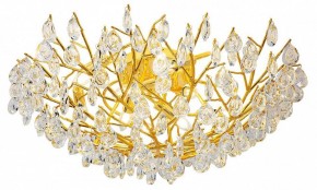 Потолочная люстра Favourite Pluvia 4162-10C в Лесном - lesnoy.mebel24.online | фото 2