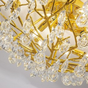Потолочная люстра Favourite Pluvia 4162-10C в Лесном - lesnoy.mebel24.online | фото 5