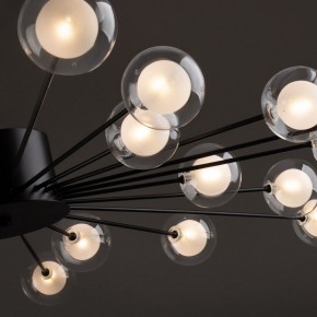 Потолочная люстра Freya Celebrity FR5242CL-24B1 в Лесном - lesnoy.mebel24.online | фото 9