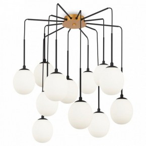 Потолочная люстра Maytoni Branch MOD176PL-12G в Лесном - lesnoy.mebel24.online | фото 3