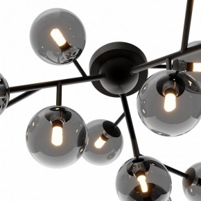 Потолочная люстра Maytoni Dallas MOD545CL-12B в Лесном - lesnoy.mebel24.online | фото 3