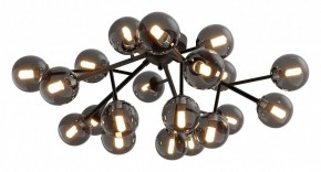 Потолочная люстра Maytoni Dallas MOD545CL-20B в Лесном - lesnoy.mebel24.online | фото 2