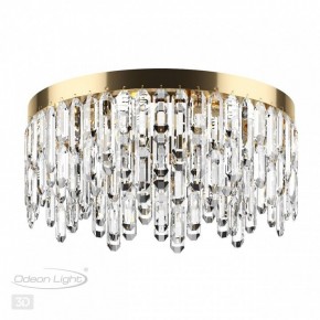 Потолочная люстра Odeon Light Dakisa 4986/6C в Лесном - lesnoy.mebel24.online | фото 4