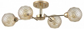 Потолочная люстра Rivoli Amalia Б0050815 в Лесном - lesnoy.mebel24.online | фото