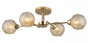 Потолочная люстра Rivoli Amalia Б0050815 в Лесном - lesnoy.mebel24.online | фото 3