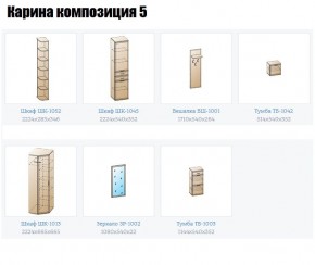 Прихожая Карина (модульная) в Лесном - lesnoy.mebel24.online | фото 2