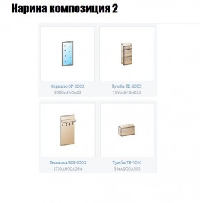 Прихожая Карина (модульная) в Лесном - lesnoy.mebel24.online | фото 6