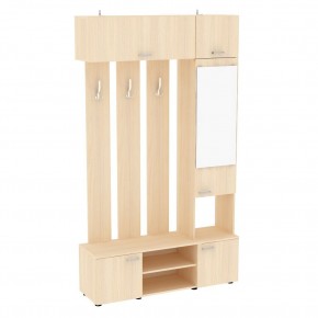 Прихожая с зеркалом V20_M (ДМ) в Лесном - lesnoy.mebel24.online | фото