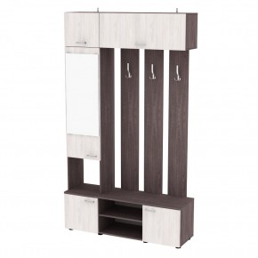 Прихожая с зеркалом V23_M (ЯАТ-ЯАС) в Лесном - lesnoy.mebel24.online | фото