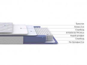 PROxSON Матрас Active Duo S/F (Ткань Трикотаж Эко) 80x190 в Лесном - lesnoy.mebel24.online | фото 2