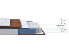 PROxSON Матрас Active F Roll (Ткань Трикотаж Эко) 90x195 в Лесном - lesnoy.mebel24.online | фото 2