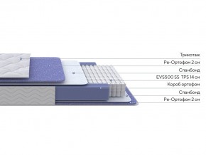PROxSON Матрас Active F (Ткань Трикотаж Эко) 160x195 в Лесном - lesnoy.mebel24.online | фото 2