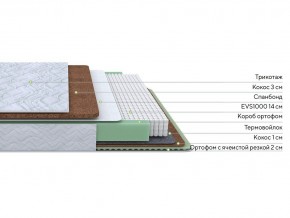 PROxSON Матрас Green Duo M/F (Tricotage Dream) 120x190 в Лесном - lesnoy.mebel24.online | фото 2