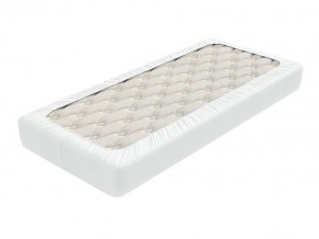 PROxSON Защитный чехол Aqua Save Light S (Ткань влагостойкая Tencel Jersey) 140x200 в Лесном - lesnoy.mebel24.online | фото 2