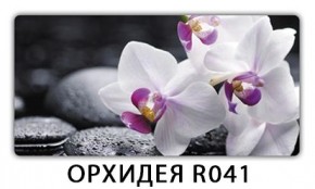 Раздвижной СТ Бриз орхидея R041 Кофе R012 в Лесном - lesnoy.mebel24.online | фото 4