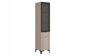 РИЧ Шкаф однодверный со стеклом в Лесном - lesnoy.mebel24.online | фото