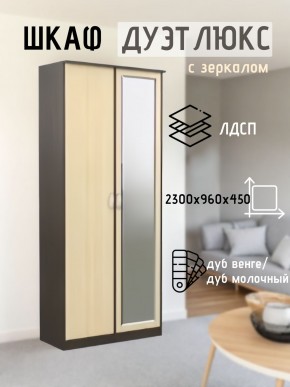 Шкаф 2-х створчатый Дуэт Люкс с зеркалом в Лесном - lesnoy.mebel24.online | фото 1