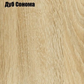 ЧЕЛСИ Шкаф 2-х створчатый платяной + Антресоль к шкафу 800 в Лесном - lesnoy.mebel24.online | фото 4