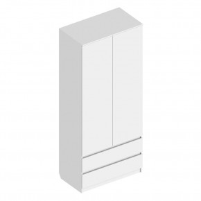 Шкаф 2-ств. с 2 ящиками "Бьянко" в Лесном - lesnoy.mebel24.online | фото