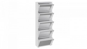 Шкаф для обуви Тип 9 в Лесном - lesnoy.mebel24.online | фото 2