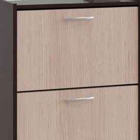 Шкаф для обуви ТО-24 в Лесном - lesnoy.mebel24.online | фото 4