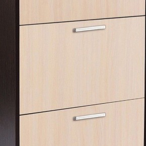 Шкаф для обуви УК-4 в Лесном - lesnoy.mebel24.online | фото 2