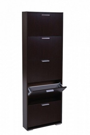 Шкаф для обуви УК-5 10000130 в Лесном - lesnoy.mebel24.online | фото