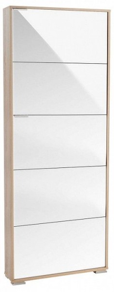 Шкаф для обуви Viva-5LW в Лесном - lesnoy.mebel24.online | фото
