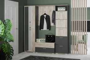 Шкаф для одежды НМ 013.40 "Санти" (Антрацит/Крафт Серый) в Лесном - lesnoy.mebel24.online | фото 3