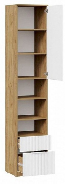 Шкаф комбинированный Хилтон Исп. 2 в Лесном - lesnoy.mebel24.online | фото 2