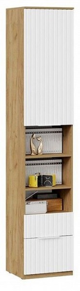 Шкаф комбинированный Хилтон Исп. 2 в Лесном - lesnoy.mebel24.online | фото 4