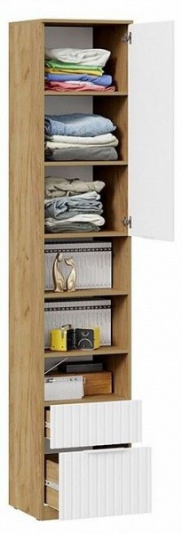 Шкаф комбинированный Хилтон Исп. 2 в Лесном - lesnoy.mebel24.online | фото 5