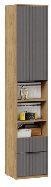 Шкаф комбинированный Хилтон Исп. 2 в Лесном - lesnoy.mebel24.online | фото 4