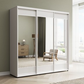 Шкаф-купе Акцент-Лайт З 1500-600 в Лесном - lesnoy.mebel24.online | фото 1