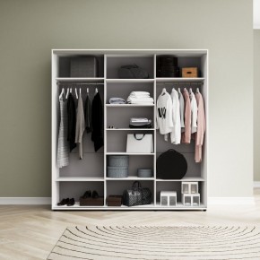 Шкаф-купе Акцент-Сим ДЗ 1500-600 в Лесном - lesnoy.mebel24.online | фото 2
