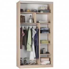 Шкаф-купе B-220х120х60-1 "Белла" в Лесном - lesnoy.mebel24.online | фото