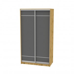 Шкаф-купе B-220х120х60-2 "Белла" в Лесном - lesnoy.mebel24.online | фото 19