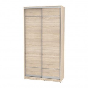 Шкаф-купе B-220х120х60-2 "Белла" в Лесном - lesnoy.mebel24.online | фото 4