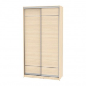 Шкаф-купе B-220х120х60-2 "Белла" в Лесном - lesnoy.mebel24.online | фото 9