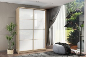 Шкаф-купе Байкал-2 СТЛ.268.11 в Лесном - lesnoy.mebel24.online | фото