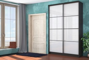 Шкаф-купе Байкал-2 СТЛ.268.11 в Лесном - lesnoy.mebel24.online | фото 3