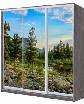 Шкаф-купе ХИТ 22-20/2-777 ПРИРОДА в Лесном - lesnoy.mebel24.online | фото