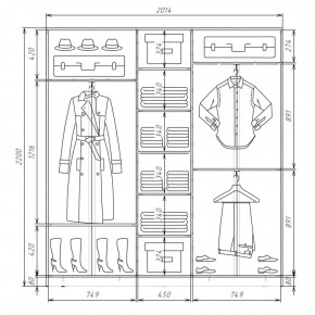 Шкаф-купе ХИТ 22-4-20-555 (420) в Лесном - lesnoy.mebel24.online | фото 2