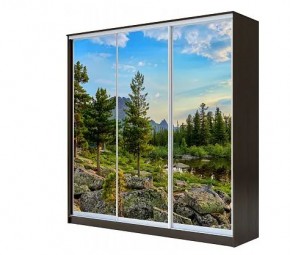 Шкаф-купе ХИТ 22-4-20-777 (420) в Лесном - lesnoy.mebel24.online | фото