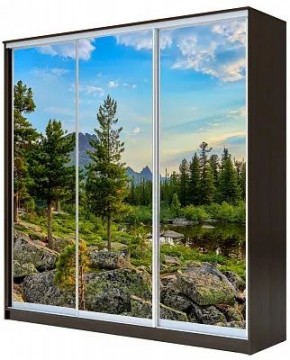 Шкаф-купе ХИТ 23-18/2-777 ПРИРОДА в Лесном - lesnoy.mebel24.online | фото