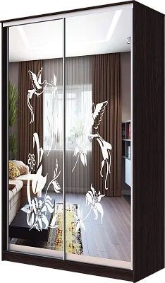 Шкаф-купе ХИТ 23-4-12/2-66 КОЛИБРИ в Лесном - lesnoy.mebel24.online | фото