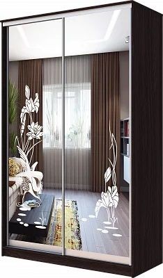 Шкаф-купе ХИТ 23-4-12/2-66 ЦАПЛИ в Лесном - lesnoy.mebel24.online | фото