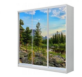 Шкаф-купе ХИТ 23-4-20-777 (420) в Лесном - lesnoy.mebel24.online | фото